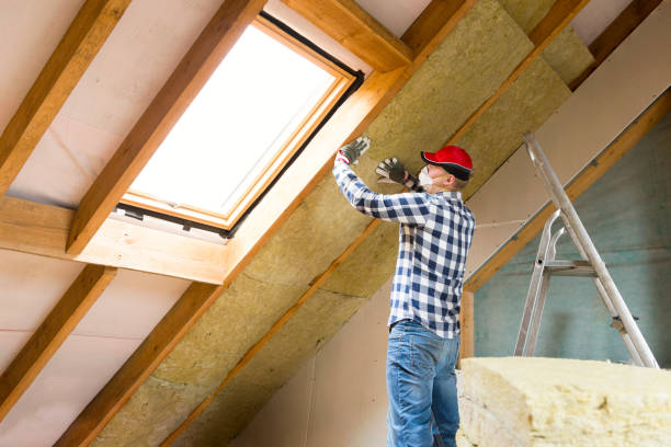 Best Insulation for New Construction  in Plain City, OH